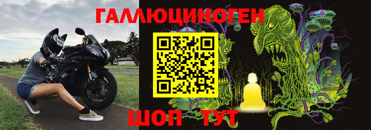 Кингисепп  Галлюциногенные грибы прущие грибы  Вход с VPN  Галлюциногенные грибы мицелий 