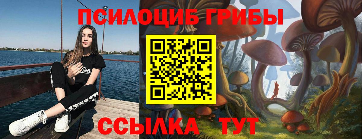 Галлюциногенные грибы GOLDEN TEACHER Кингисепп